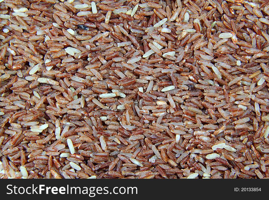 Close up on brown rice