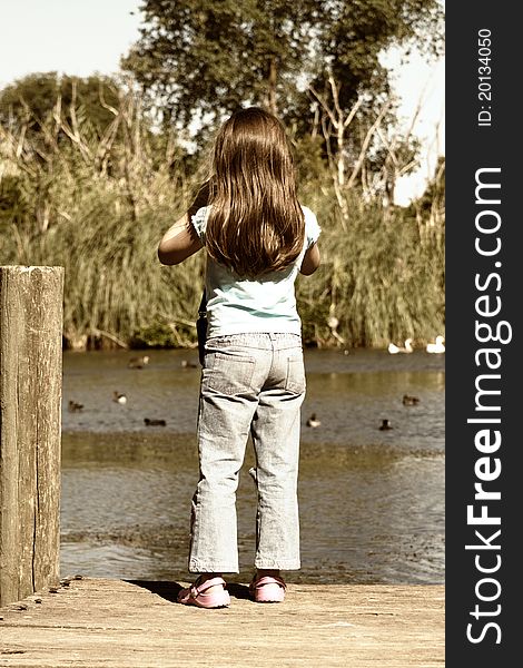 A little girl taking photos of ducks from a pier.