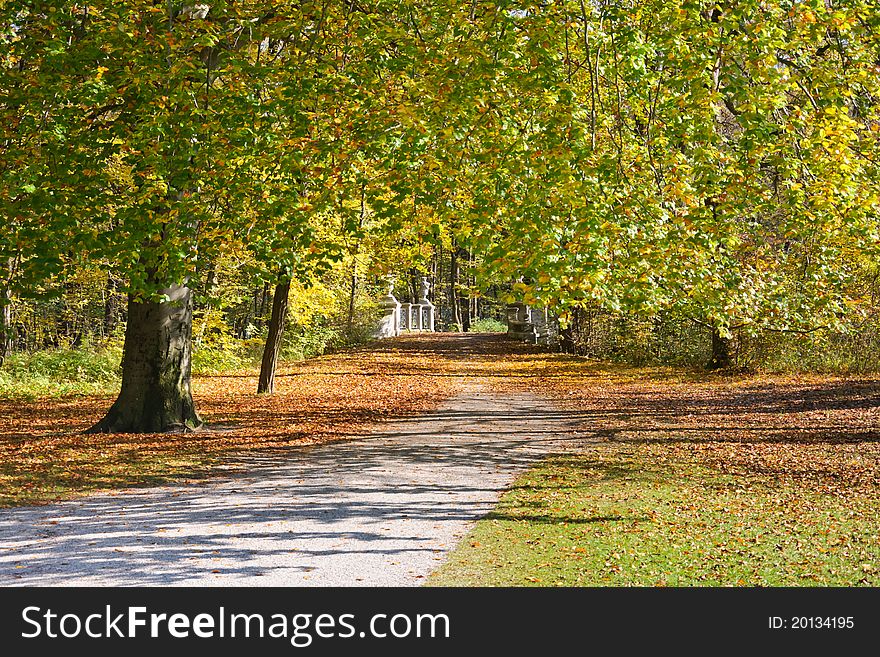 Beautiful peaceful walk in the autumn park. Beautiful peaceful walk in the autumn park