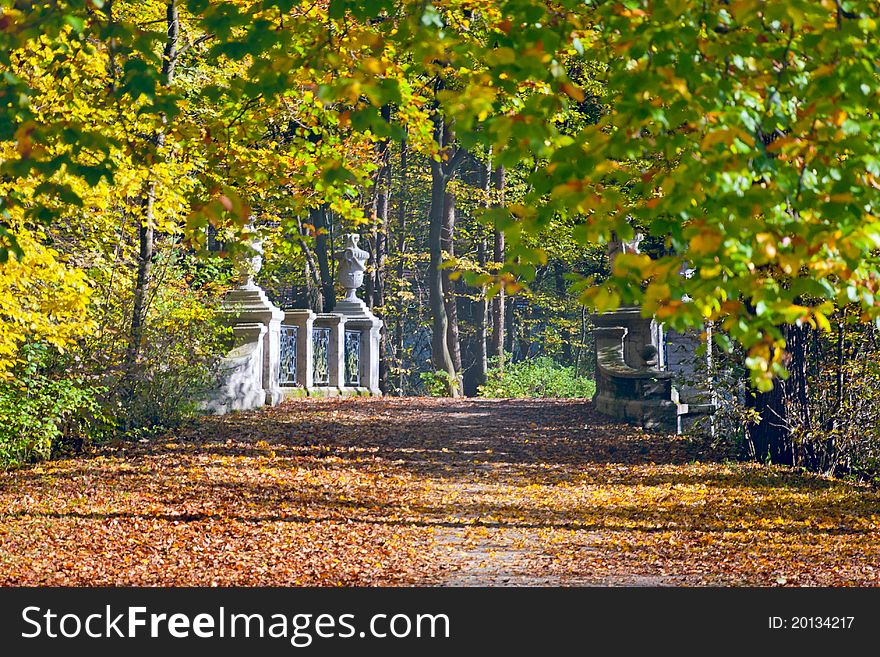 Beautiful peaceful walk in the autumn park. Beautiful peaceful walk in the autumn park