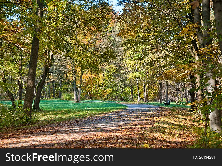 Beautiful peaceful walk in the autumn park. Beautiful peaceful walk in the autumn park