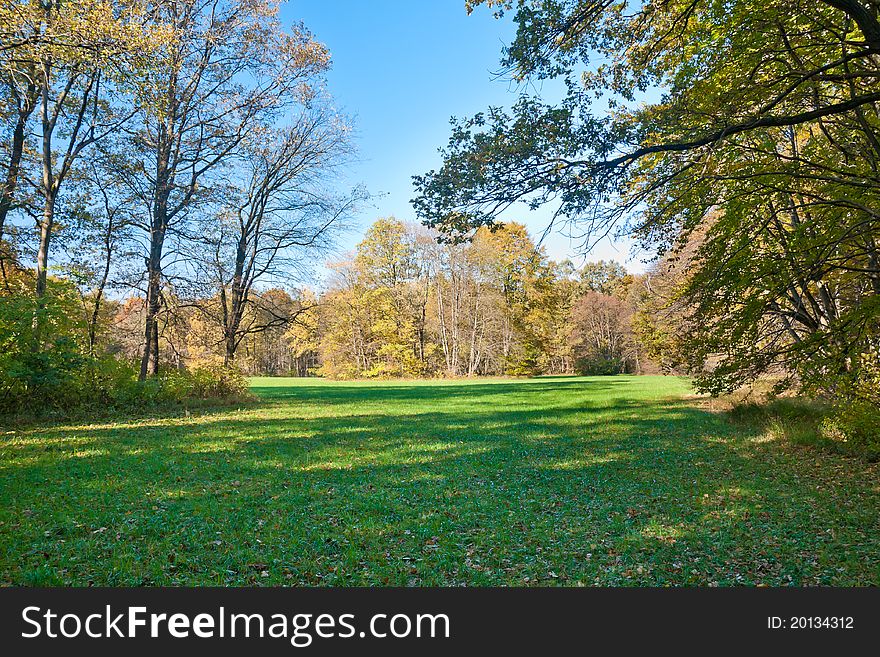 Beautiful green meadow in the autumn park