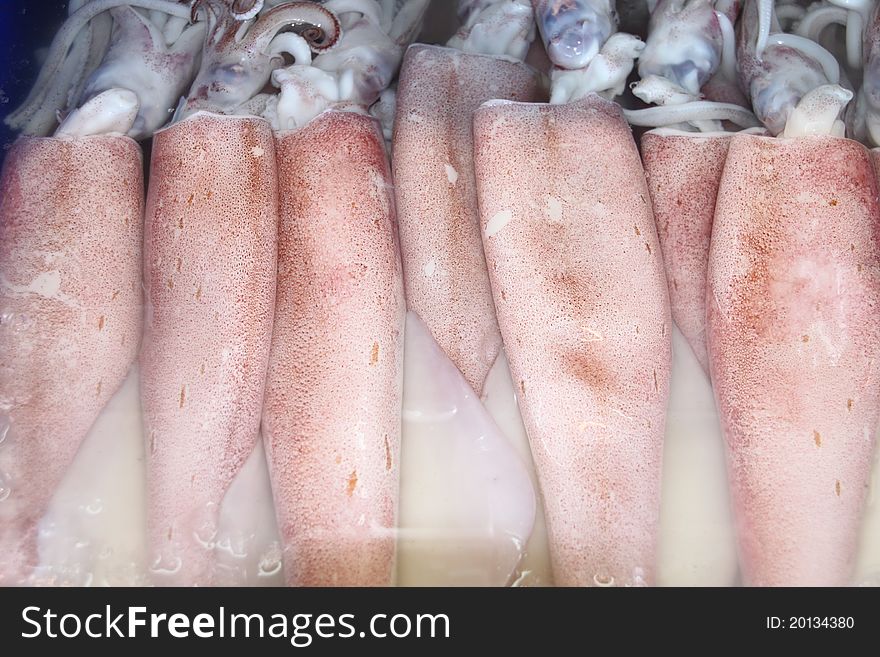 Squids on ice in open seafood supermarket