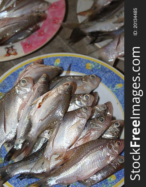 Fresh water fishes in open supermarket of local community