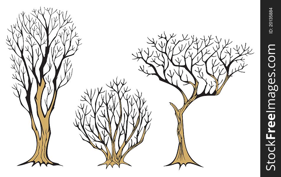 Set of three withered trees, with plenty branches, vector illustration