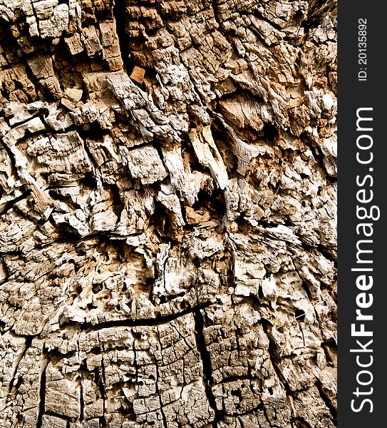 Texture of cracks on old wood