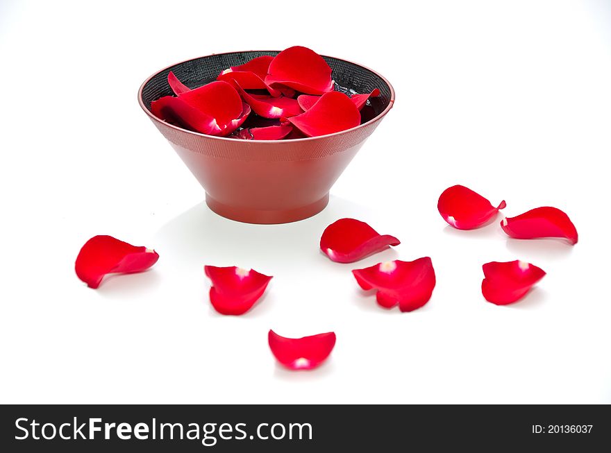 Red Roses with plate of flowers on white background. Red Roses with plate of flowers on white background