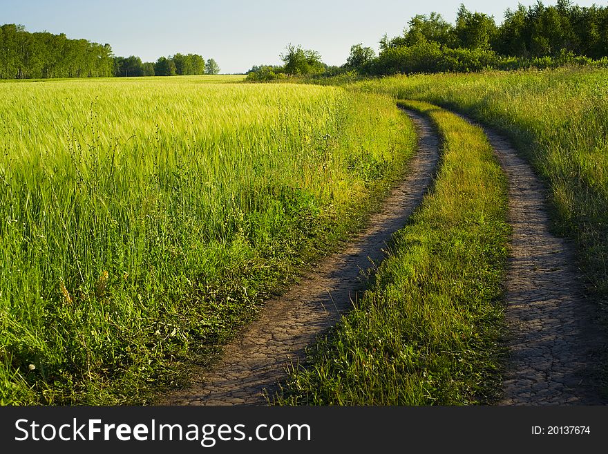 Turning pathway on the green field