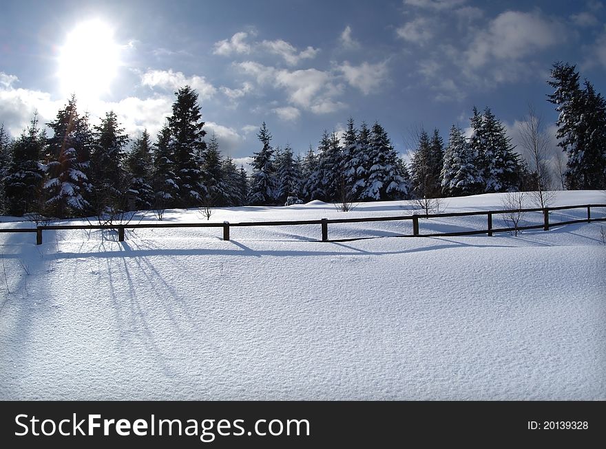 Winter woods on a background of blue sky overcast. wooden fence. Winter woods on a background of blue sky overcast. wooden fence