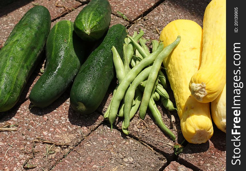 Fresh garden vegetables laying on brick walkway