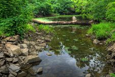 Log And Stones In Transparent Water Of Lake Stock Photos Log And Stones In Transparent Water Of Lake Stock Photos