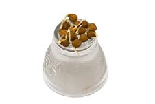 Sprouted Grams Stock Image Sprouted Grams Stock Image
