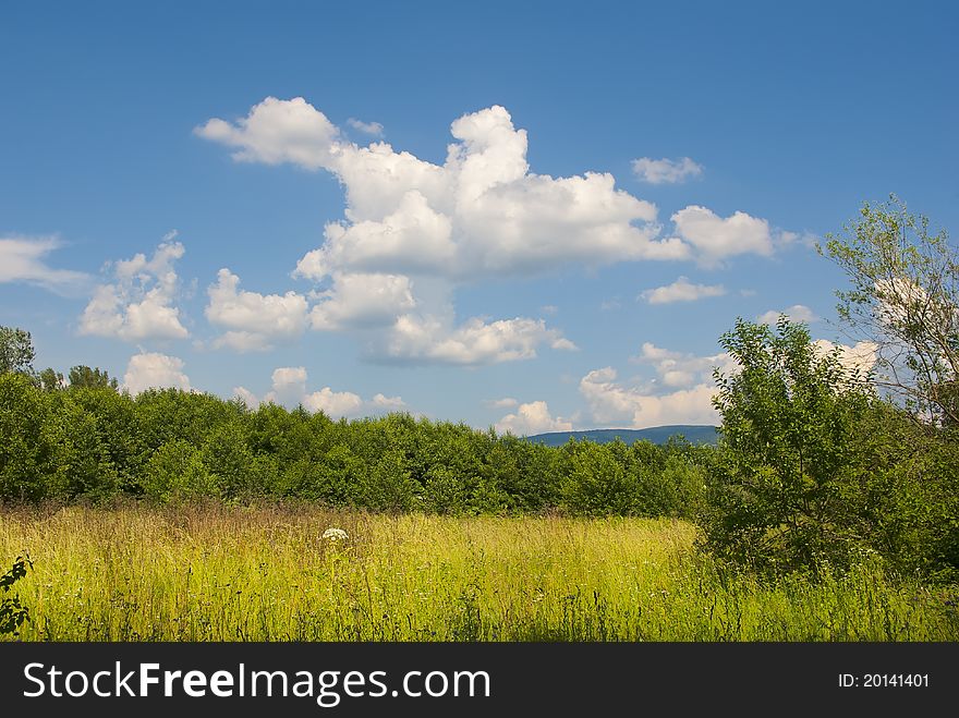 Summer landscape with blue cloudy sky