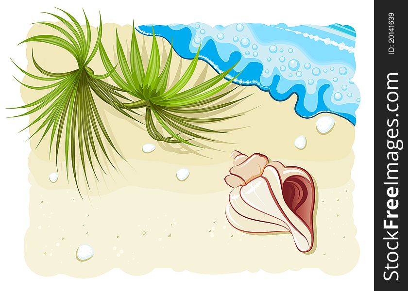 Seashell with palm leafs and ocean wave