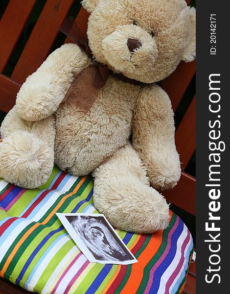 Teddy bear and baby ultrasound