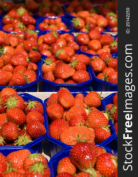 Fresh packed strawberries for sell. Fresh packed strawberries for sell