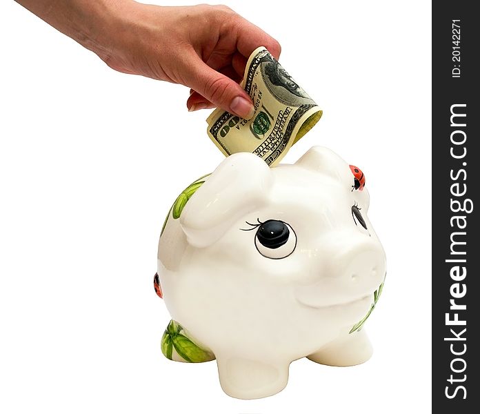 Piggy Bank And Dollar
