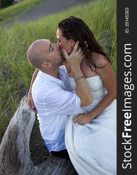 A groom kissing bride resting on log. A groom kissing bride resting on log