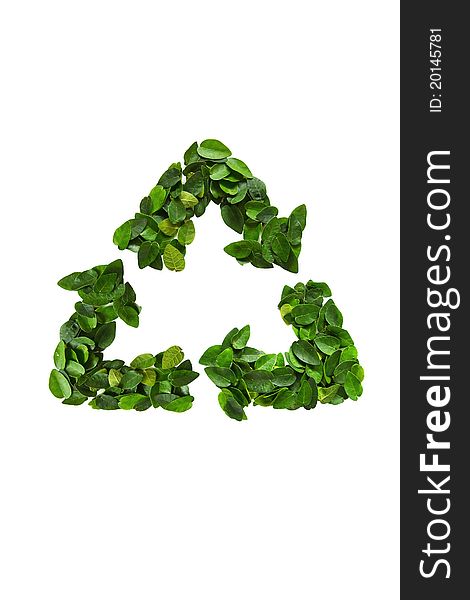 Recycle icon made of green leaves