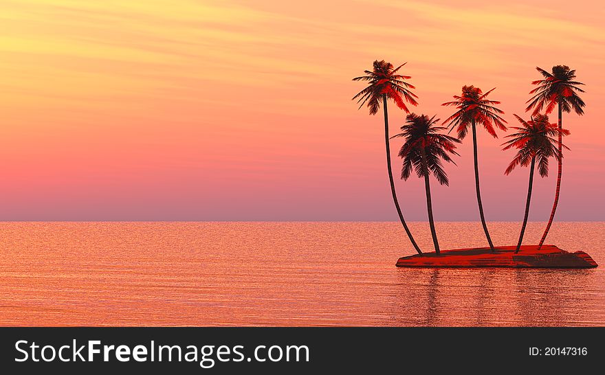 Palms island at sunset sea