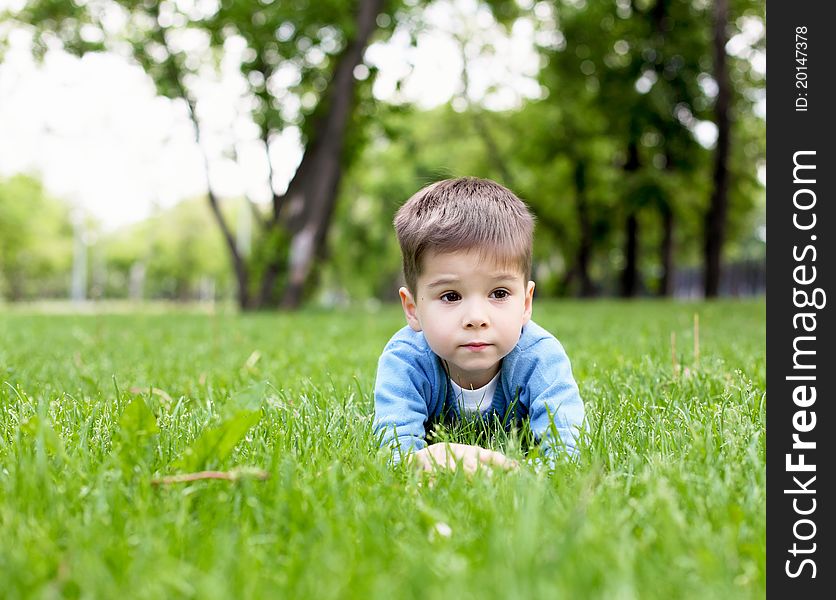 Portrait of a happy little boy in the park. Portrait of a happy little boy in the park