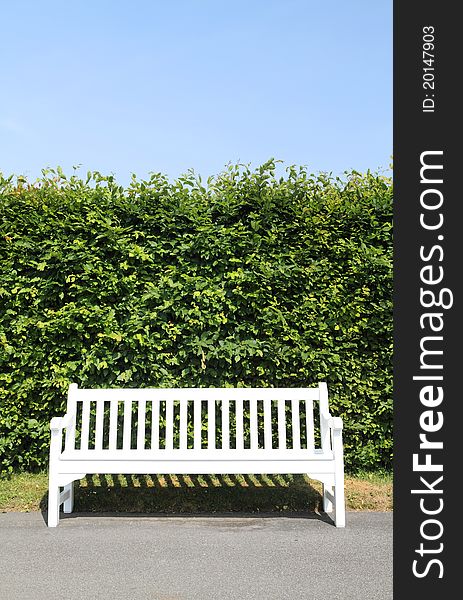 Empty white wooden bench in park. Empty white wooden bench in park