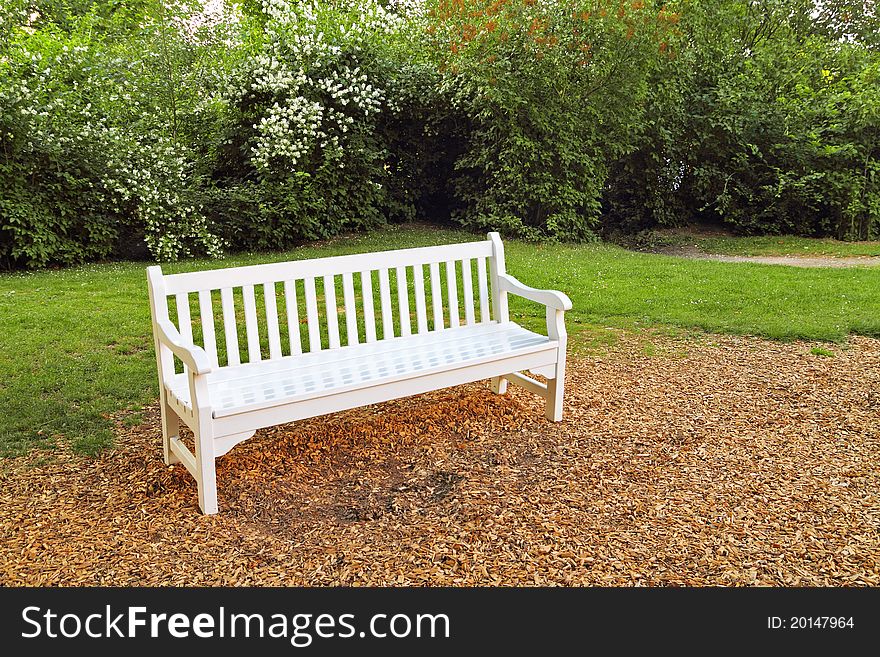 Empty white wooden bench in park. Empty white wooden bench in park