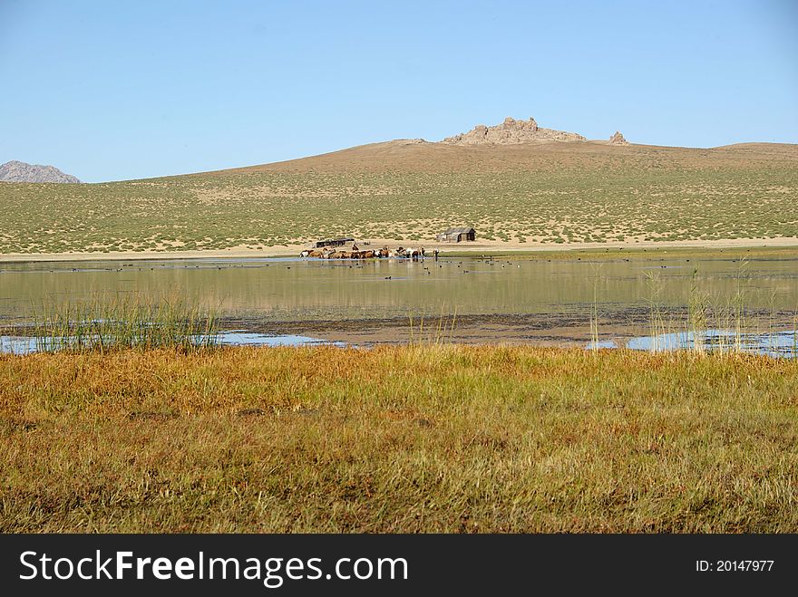 Landscape in Mongolia