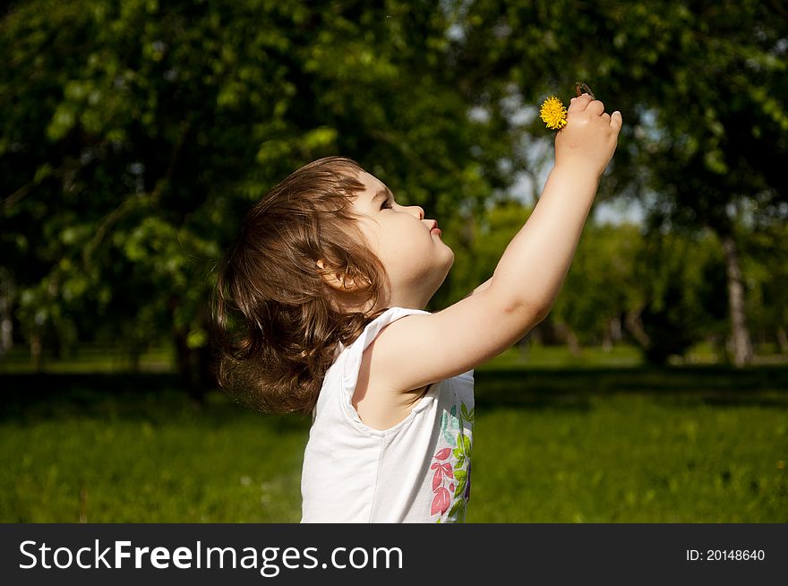 The girl looks at a dandelion in park. The girl looks at a dandelion in park