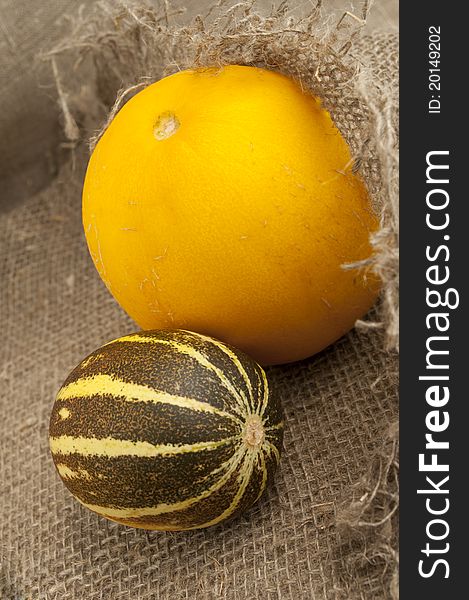 Two full melon on a background of rough cloth