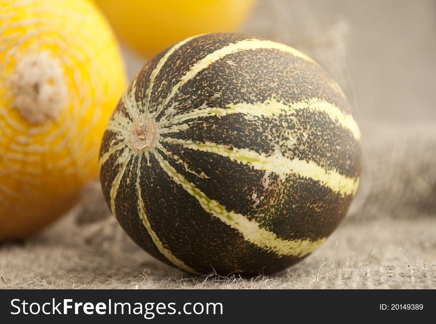 Two full melon on a background of rough cloth