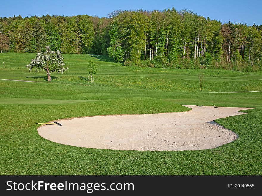 Golf on the green grass of the golf course