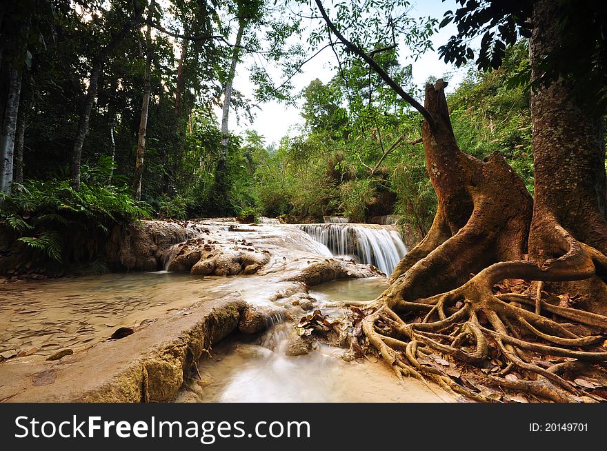 Water Fall cascade with ancient tree. Water Fall cascade with ancient tree