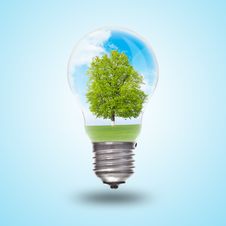 Light Bulb With Landscape Inside Stock Photography Light Bulb With Landscape Inside Stock Photography