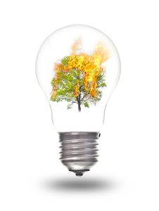 Light Bulb With Burning Tree Inside Royalty Free Stock Images Light Bulb With Burning Tree Inside Royalty Free Stock Images