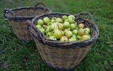 Fresh Green Apples In Basket Royalty Free Stock Photography Fresh Green Apples In Basket Royalty Free Stock Photography