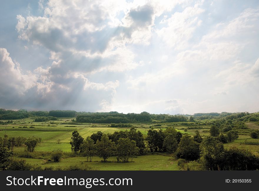 Forested landscape with cloudy sky
