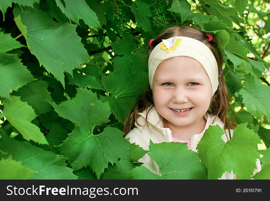 Girl Among The Vine Leaves