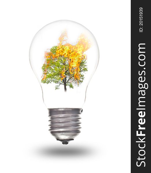 Light bulb with burning tree inside