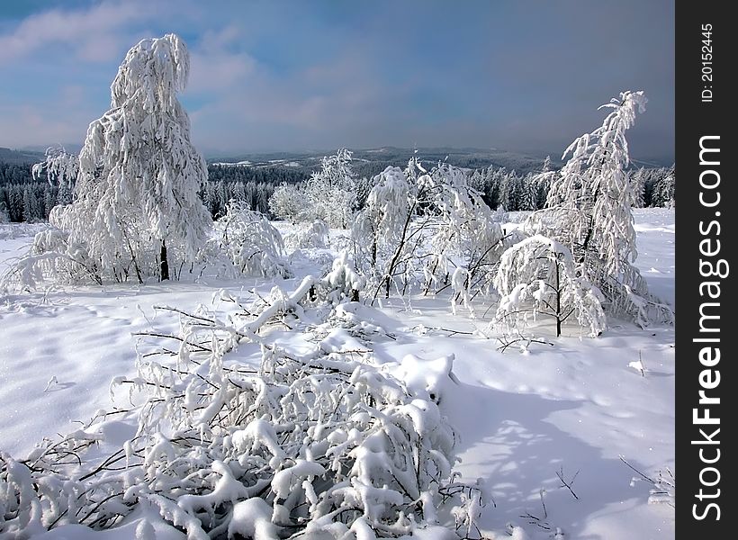 Winter mountain scenery. overcast sky. snowy forest. Winter mountain scenery. overcast sky. snowy forest