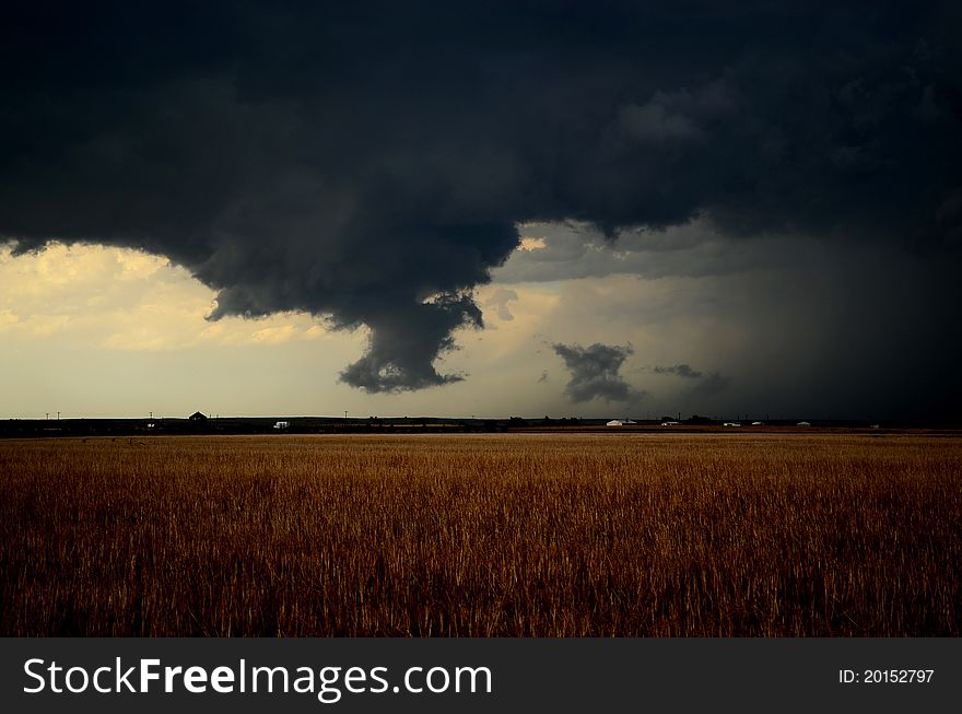 Ominous clouds over a wheat field in Colorado. Ominous clouds over a wheat field in Colorado