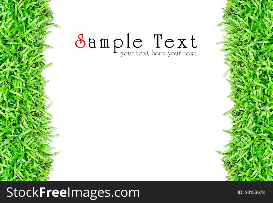 Grass Frame Isolated
