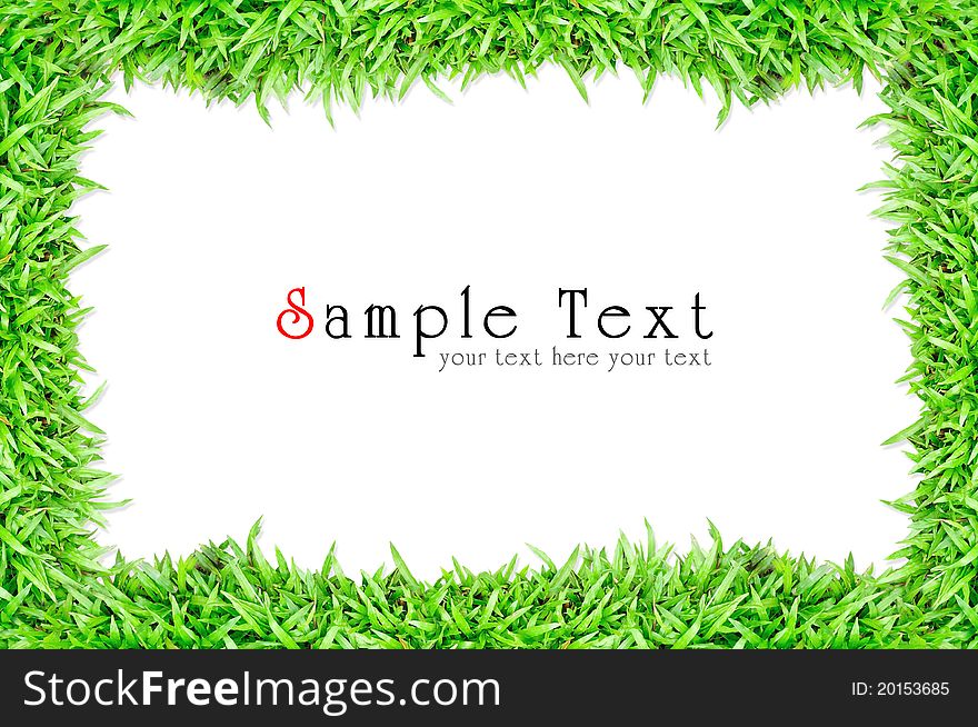 Grass Frame Isolated