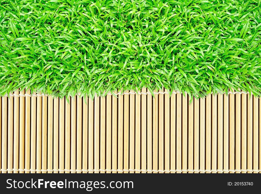 Grass frame on bamboo texture background