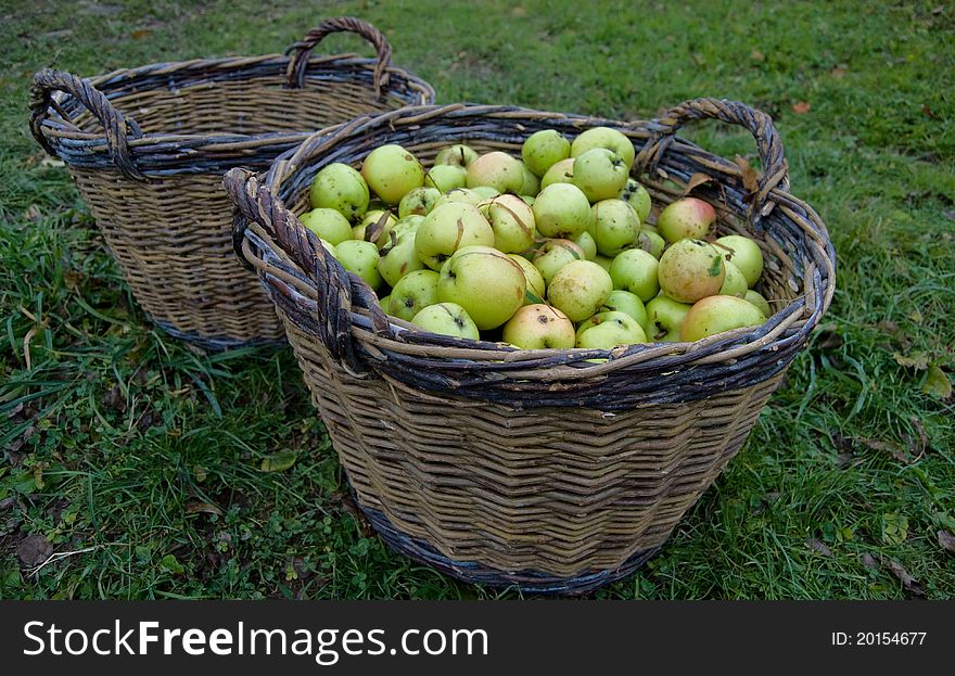 Fresh green apples in basket