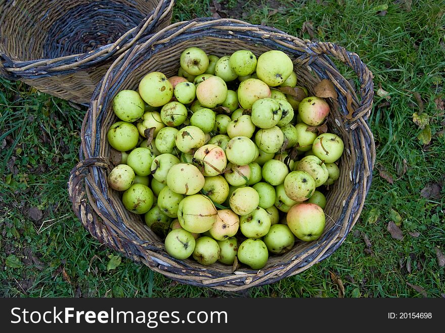 Fresh Green Apples In Basket