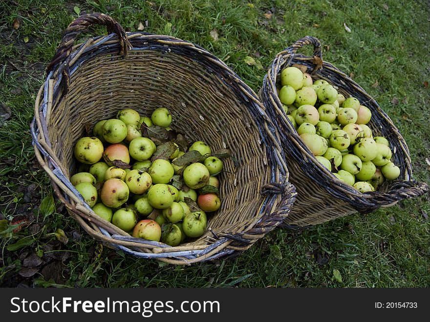 Half-empty and full baskets with fresh green apples on the green grass of the yard. Half-empty and full baskets with fresh green apples on the green grass of the yard