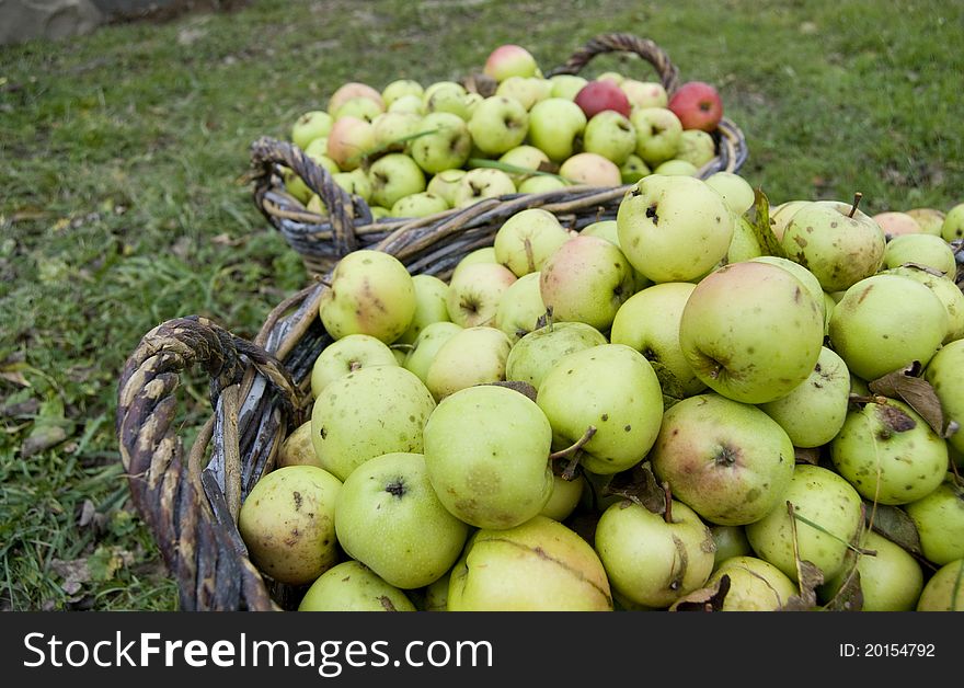 Fresh green apples in baskets