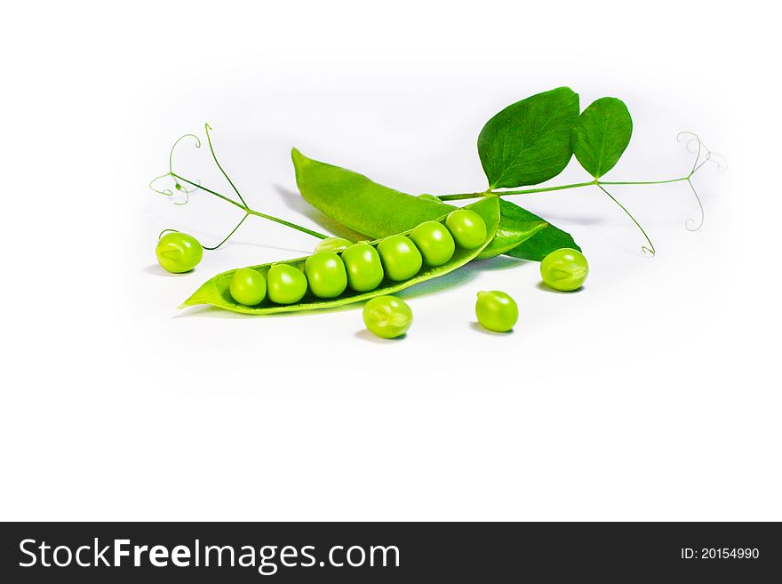 A single open green pea pod on a white background