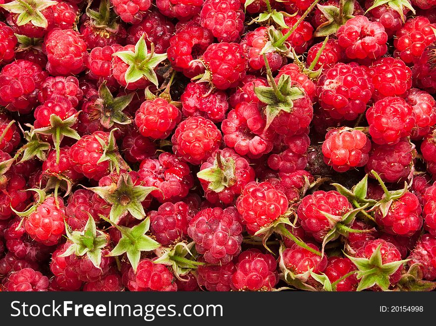 Bunch of raspberries full frame closeup